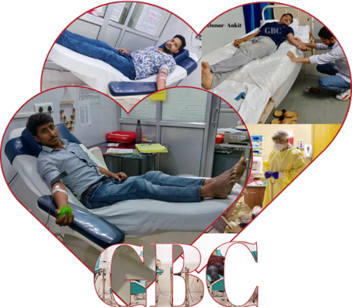 GBC Seva